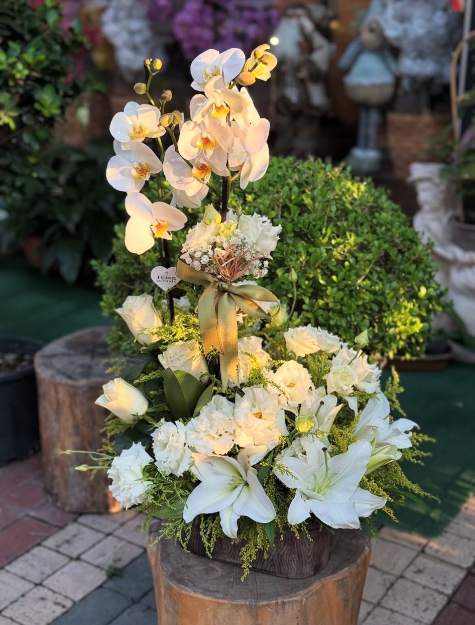 beyaz-orkide-aranjmani--cc105