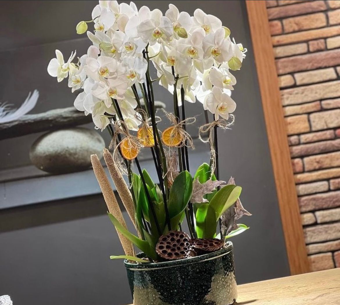 10-dal-beyaz-orkide-aranjmani--cc120