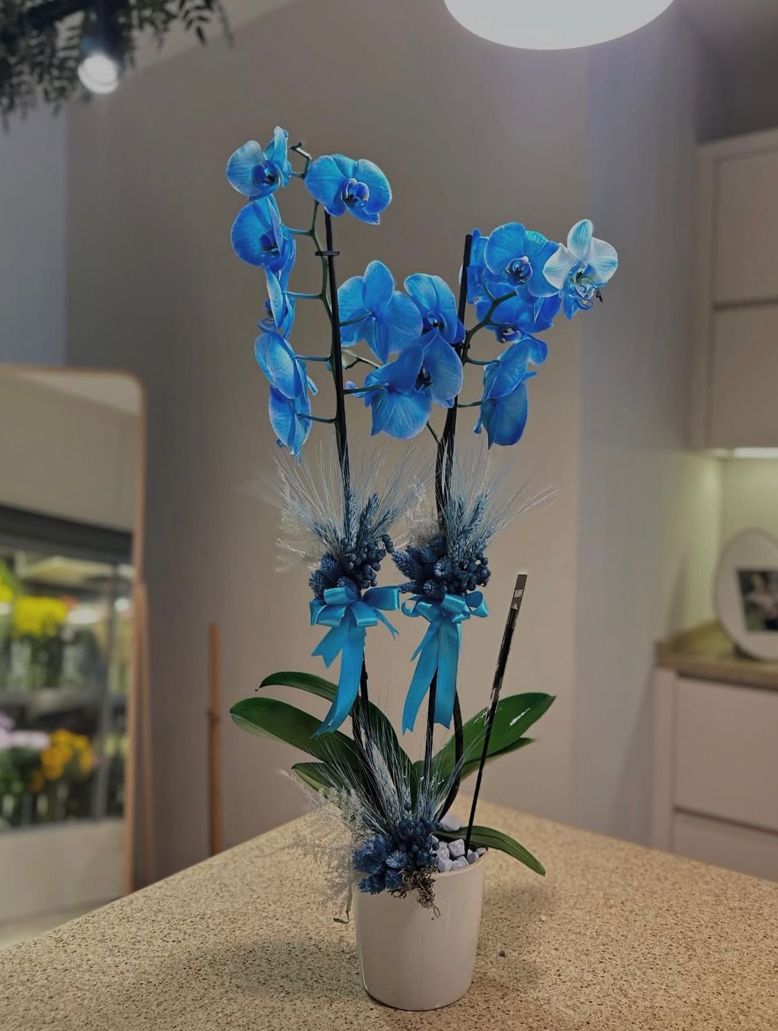 beton-saksida-mavi-orkide--cc116