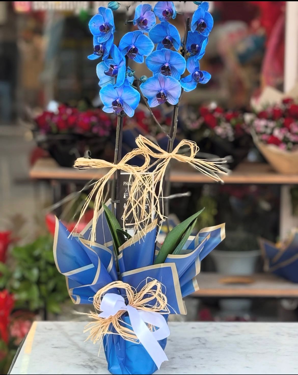 2-dal-maviorkide-cicegi-cc119