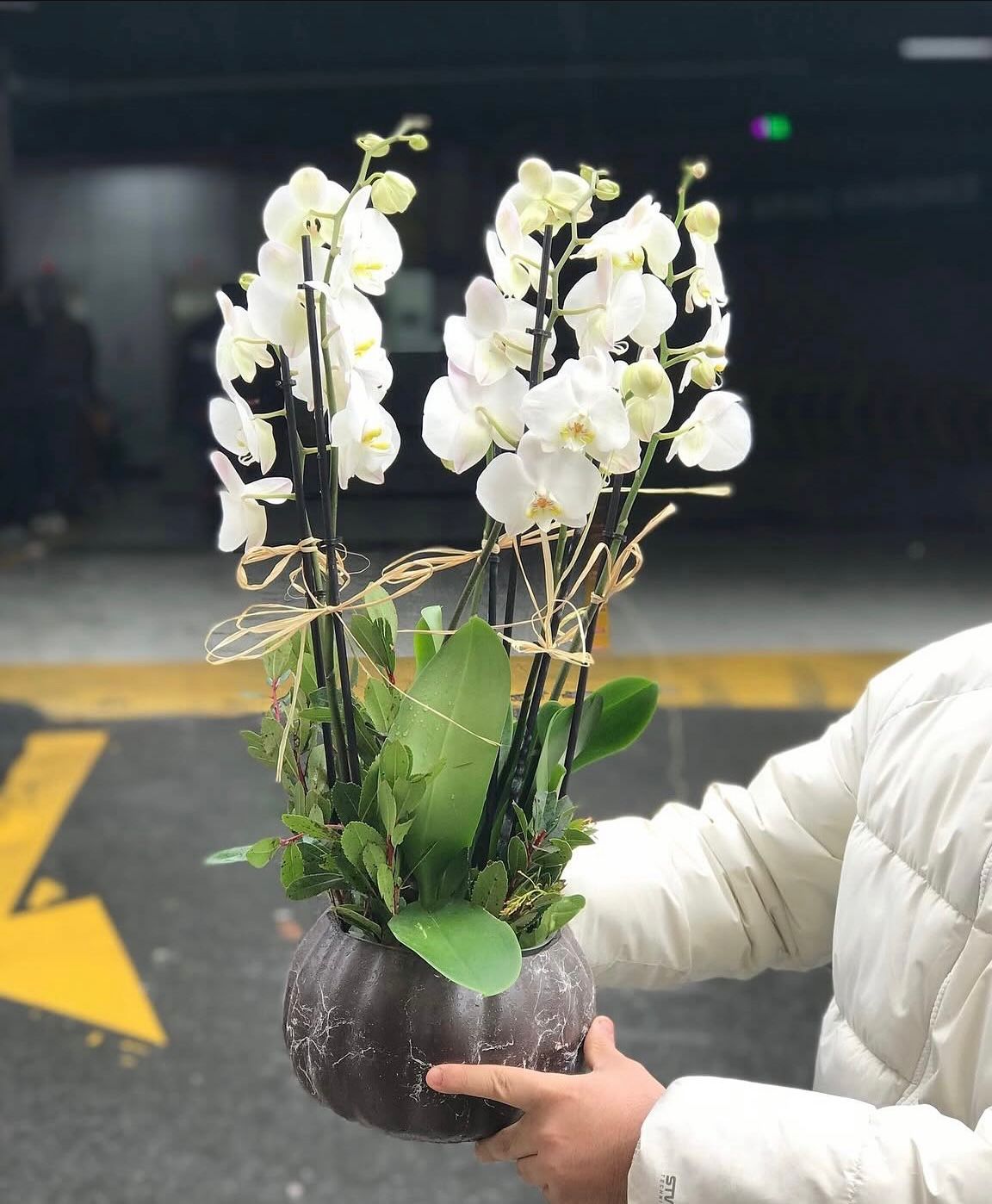 6-dal-beyaz-orkide-aranjmani--cc121