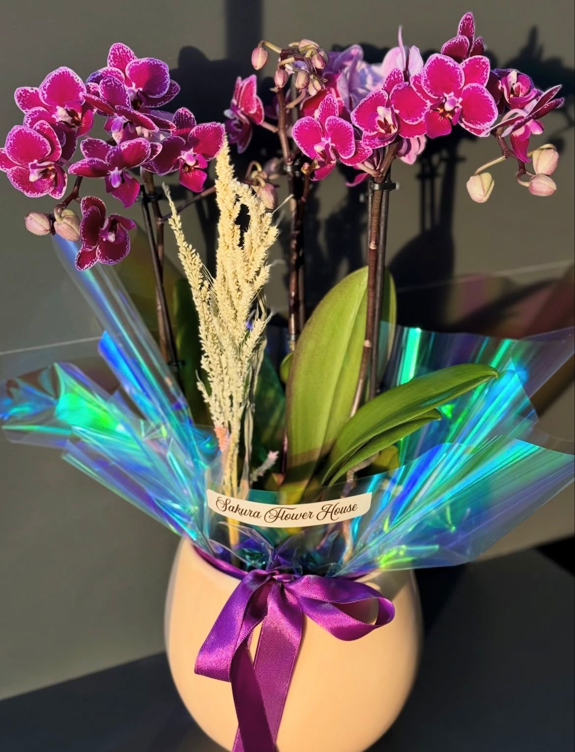 4-dalli-mini-orkide-aranjmani--cc113