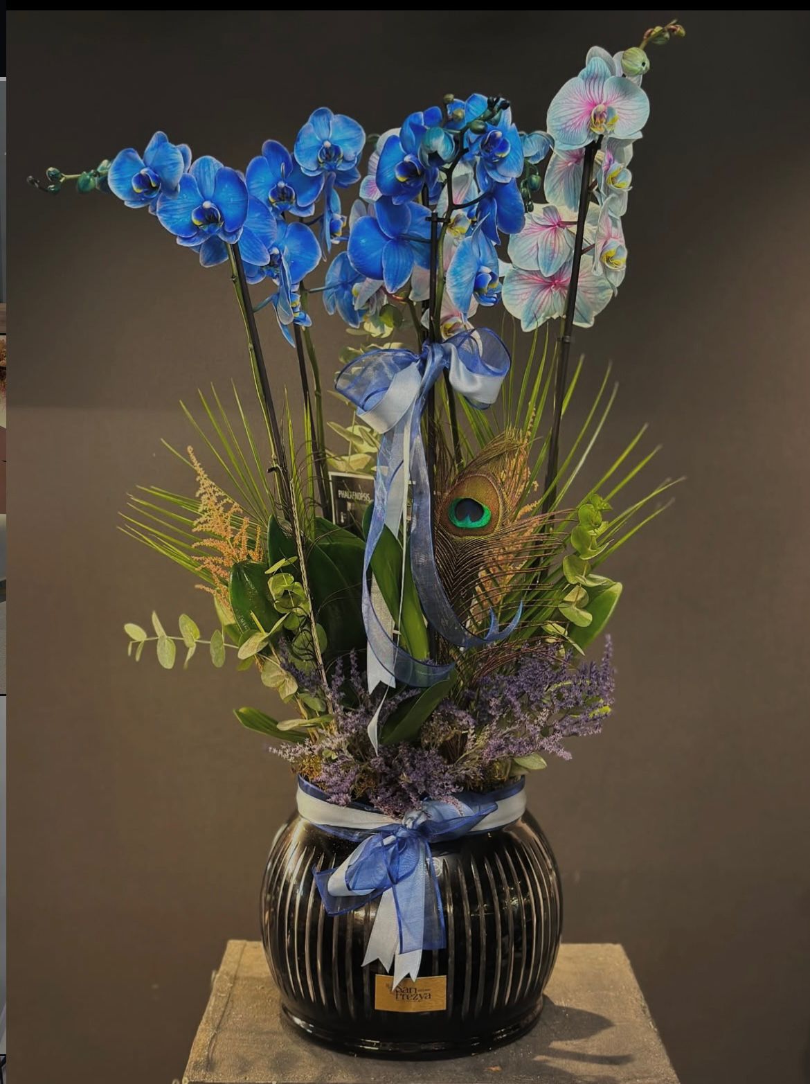 6-dal-mavi-ve-turkuaz-orkide-aranjmani--cc104mt