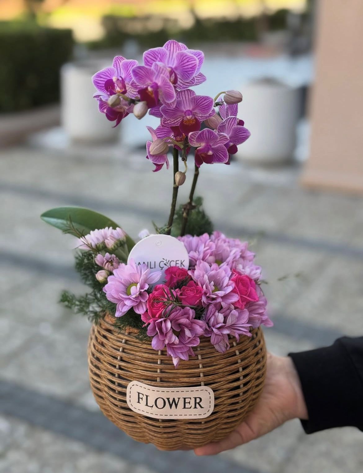 ciftli-mini-orkide-aranjmani--cc102m